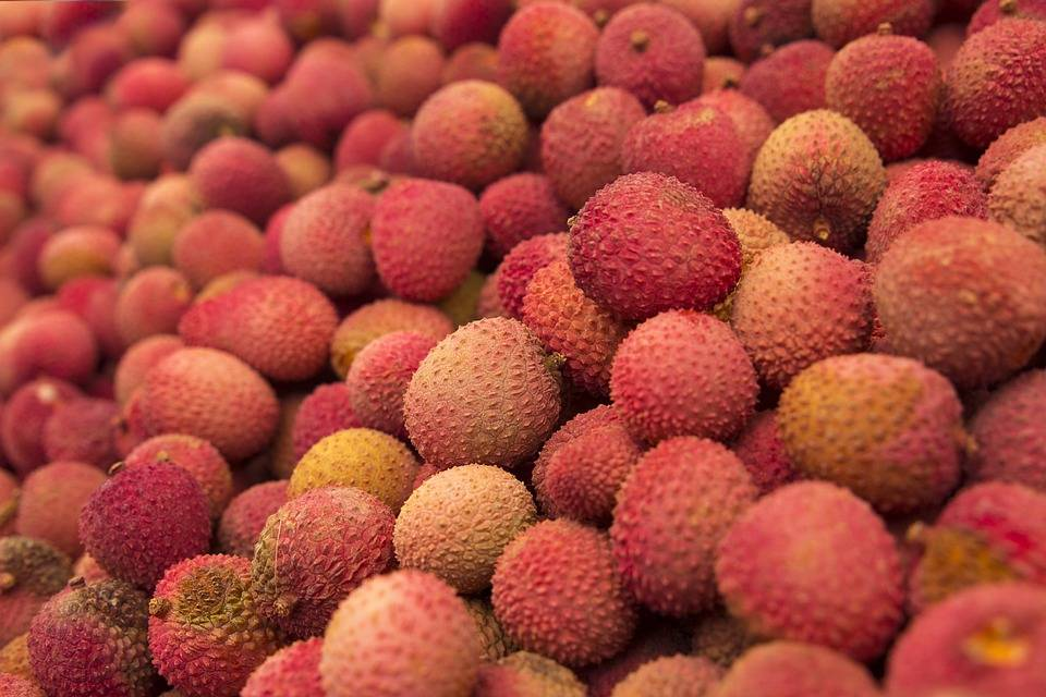 Todo sobre el lichi: la fruta que es furor en Hawaii - Buena Vida Tips