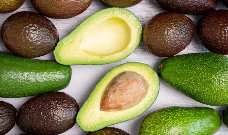 palta