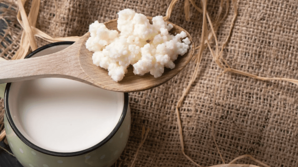 Kefir y Kombucha: los beneficios de las bebidas fermentadas - Buena Vida Tips