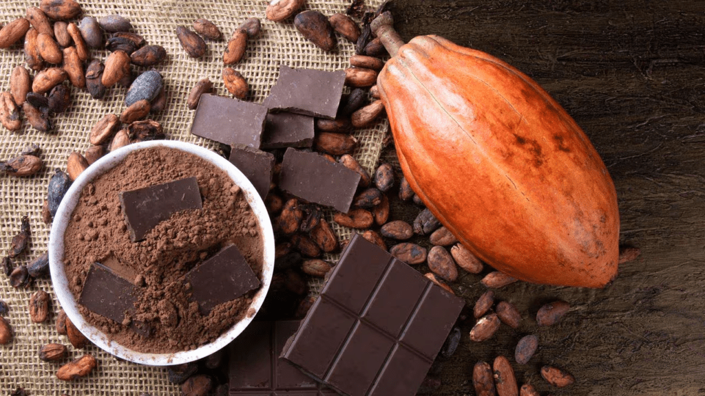 Cacao: los 10 beneficios que le aporta a la salud - Buena Vida Tips