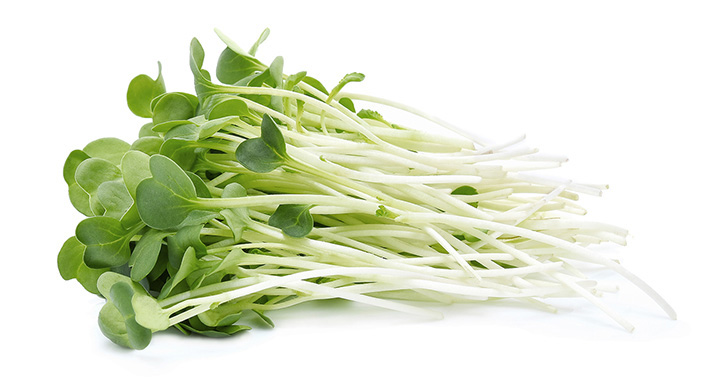 Por qué la alfalfa es tan beneficiosa y cuándo se debe comer - Buena Vida Tips