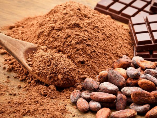 Cacao: los 10 beneficios que le aporta a la salud - Buena Vida Tips