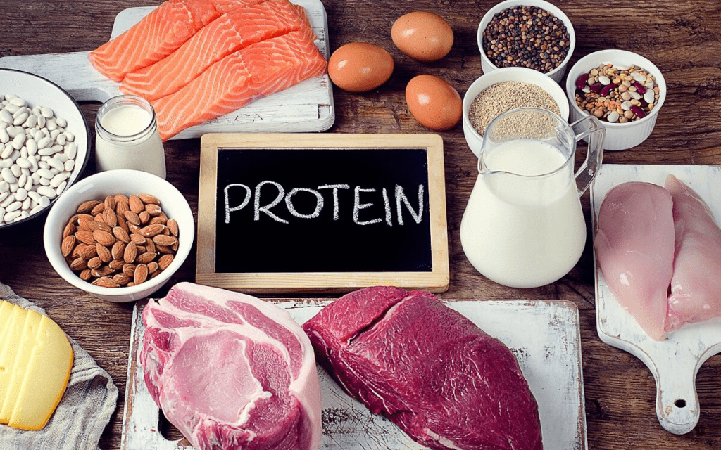 Cuánta cantidad de proteína hay que comer por día - Buena Vida Tips