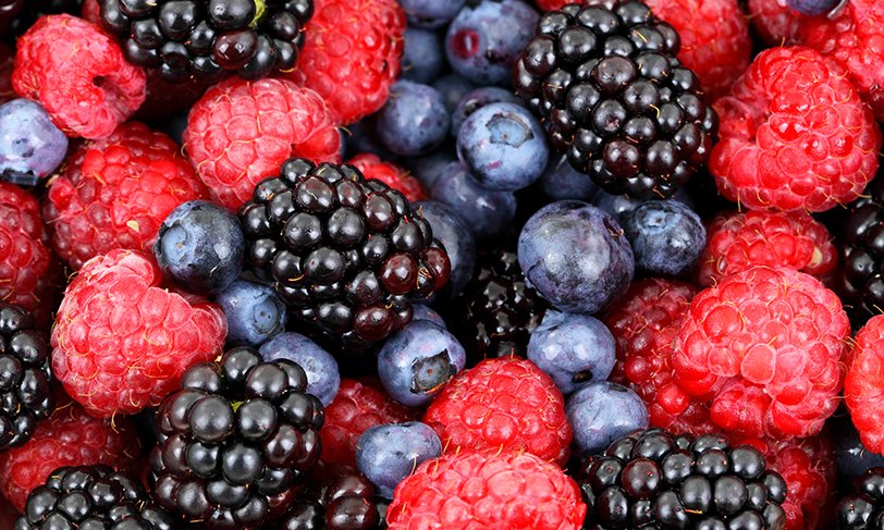 Frutos rojos: por qué son la fruta más saludable de todas - Buena Vida Tips