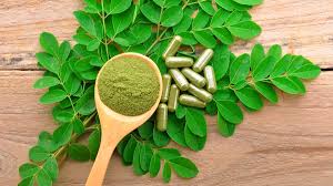 moringa