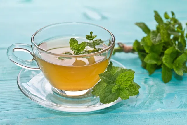 Té de menta: los beneficios de tomar este tipo de infusiones - Buena Vida Tips